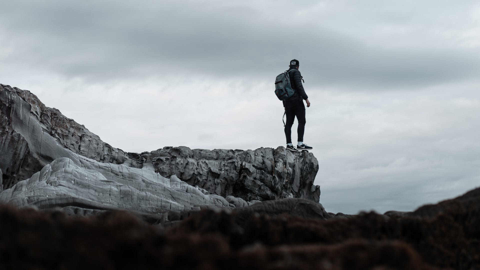 Terms and Conditions